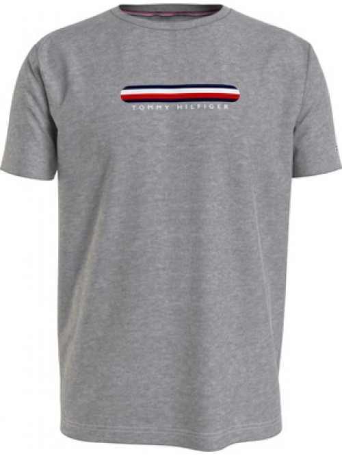 Pánské tričko Tommy Hilfiger TH SEACELL-CN SS TEE šedé