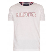 Pánské tričko Tommy Hilfiger CN SS Tee Graphic ...